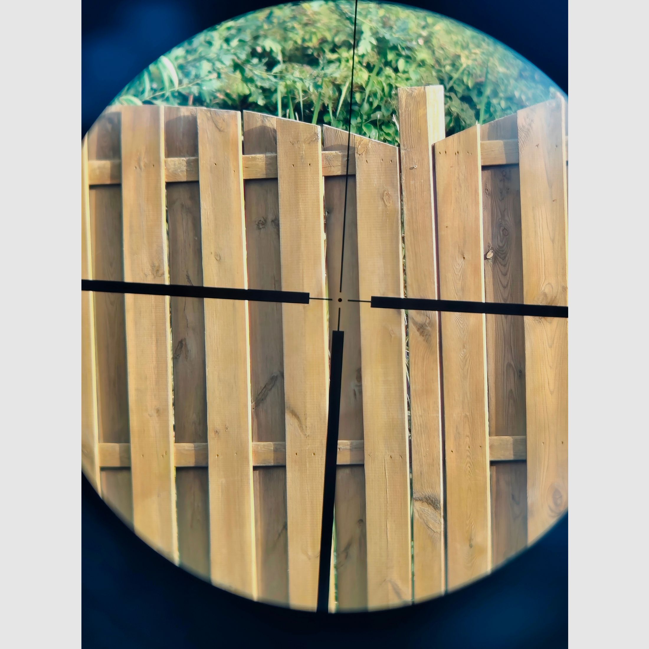 scope Ritter Optik 3-12x50 E