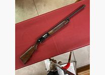 Beretta AL 390 Gold Mallard