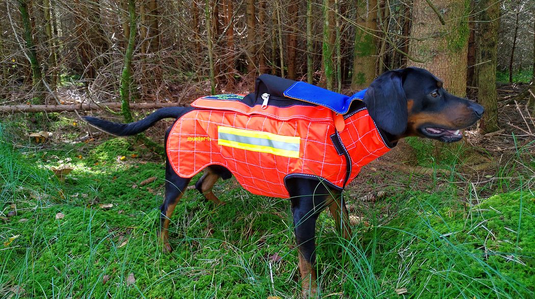 Müller-Fox Schutzweste für Hunde