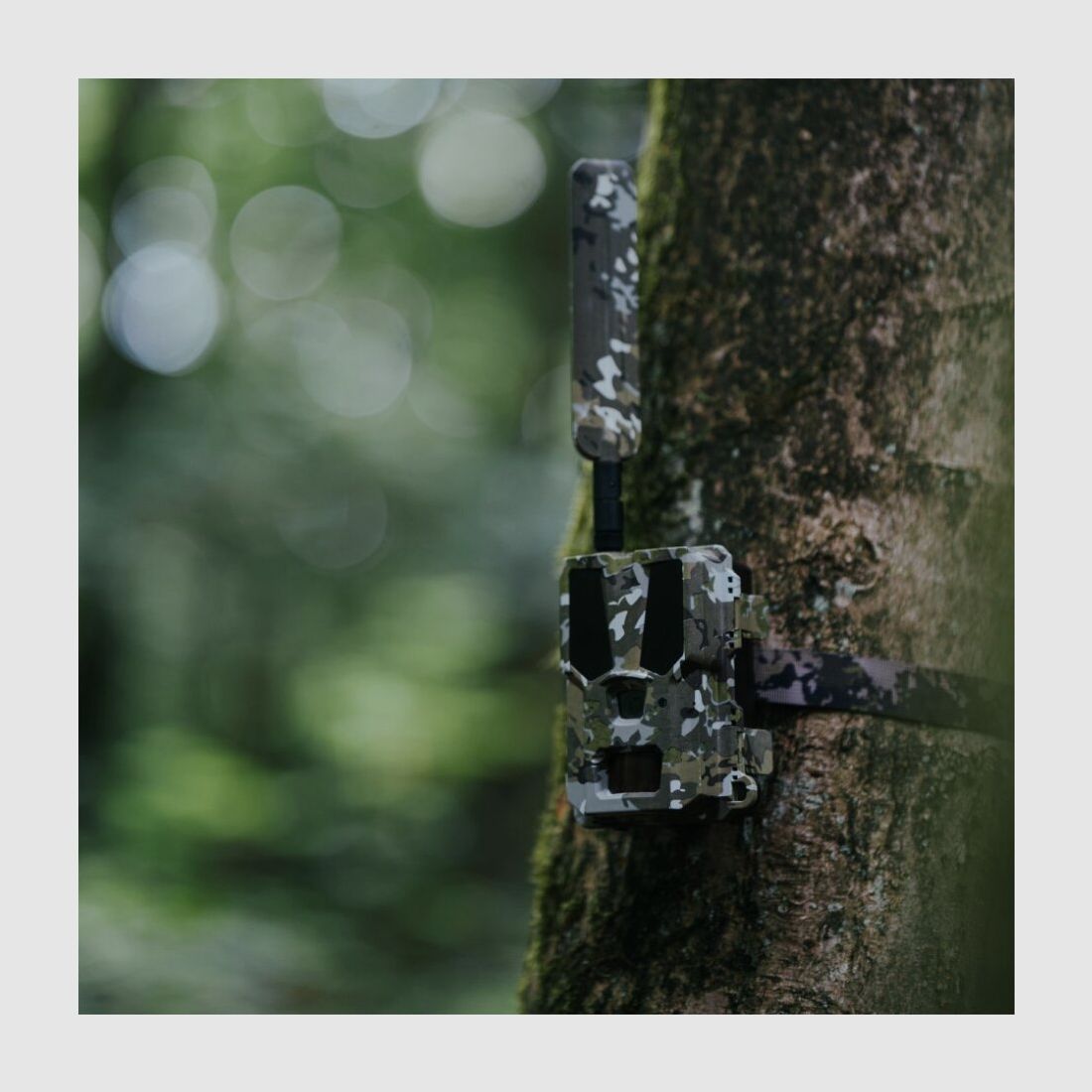 Modernhunter Hunter 4G Mini – Caméra de chasse compacte avec reconnaissance par IA et coûts d’utilisation les plus bas, image 18 sur 22