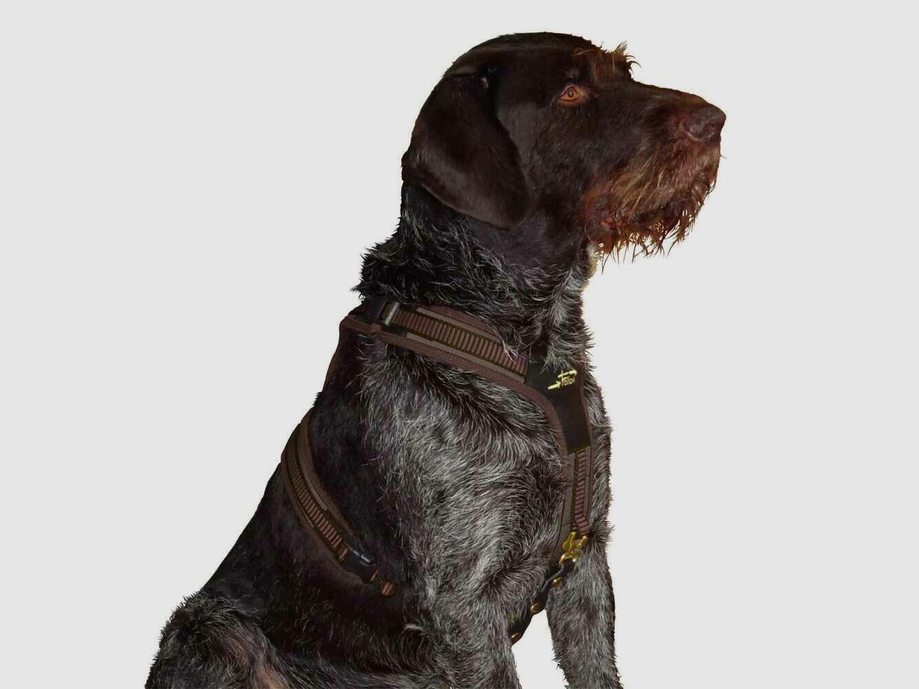 Niggeloh dog harness Niggeloh Follow 3