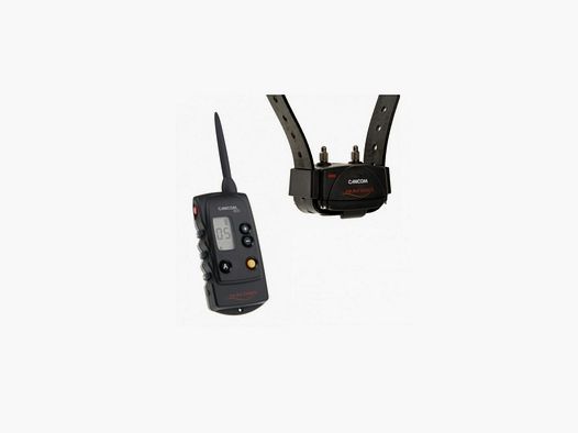 NUM'AXES CANICOM 800