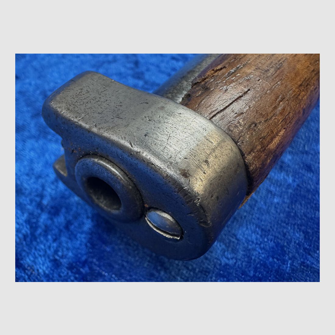 DWM 1891 Argentino, Bild 6 von 7