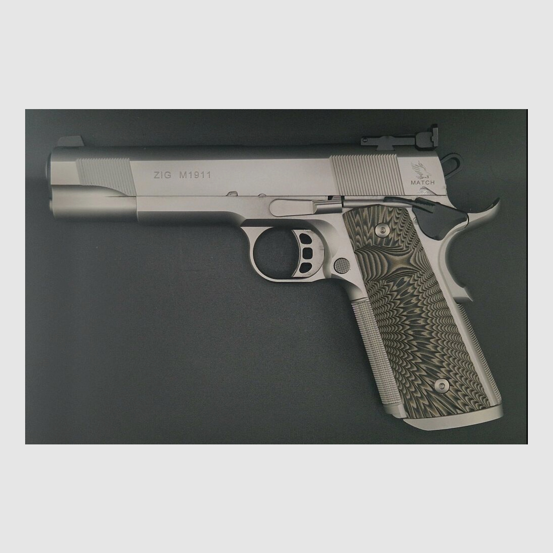 Tisas ZIG M1911 Stainless Match .45Auto