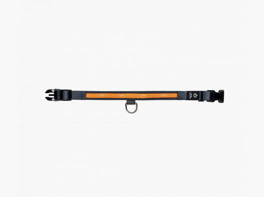 Blaser Halsband LED