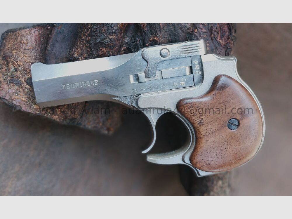 High Standard Derringer, sovrapposto, immagine 4 di 4