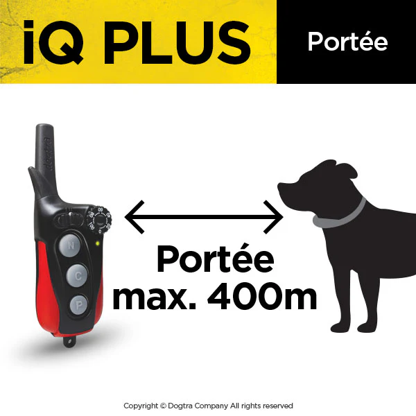 IQ Plus, image 4 sur 5