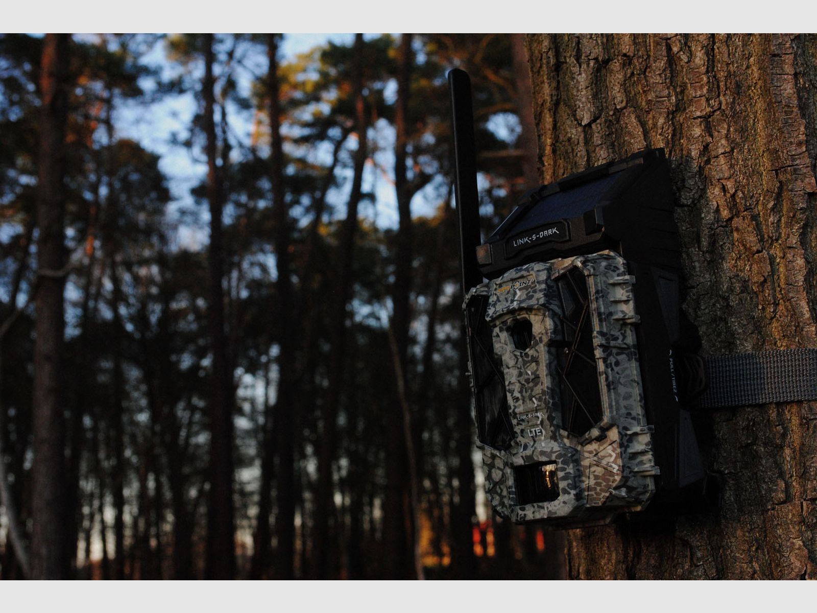 SPYPOINT Wildkamera Link-S Dark