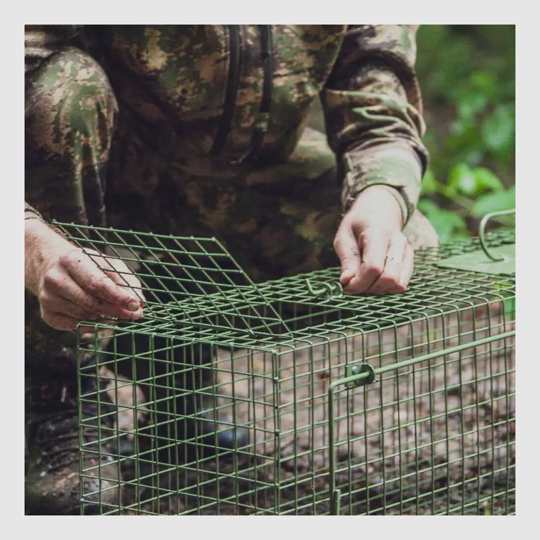 Frankonia piège à capture vivante – porte unique à battants
