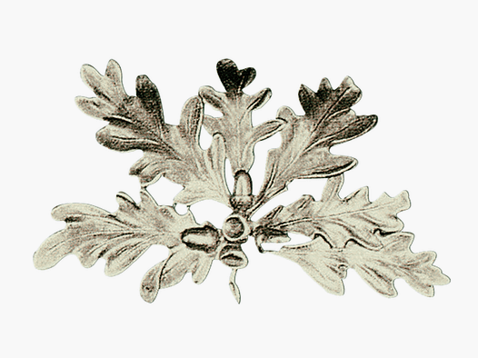 Feuille de couverture de l'arme de sanglier