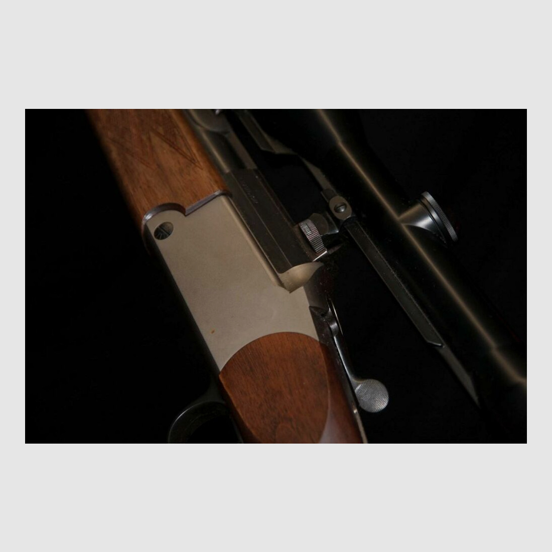 Blaser BBF Bockbüchsflinte