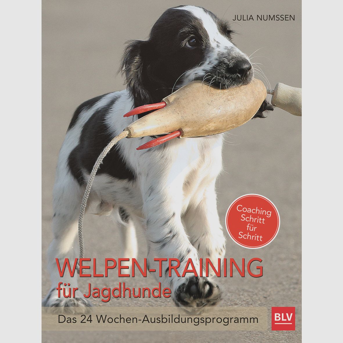 Welpen-Training für Jagdhunde