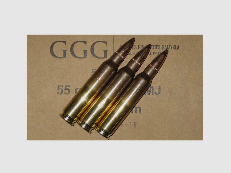 Munizioni 5.56×45 FMJ 55gr GGG x1000 + cassa impermeabile, immagine 1 di 3