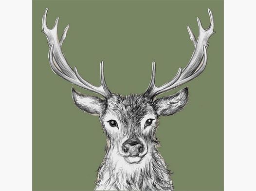 Napkins Paul green