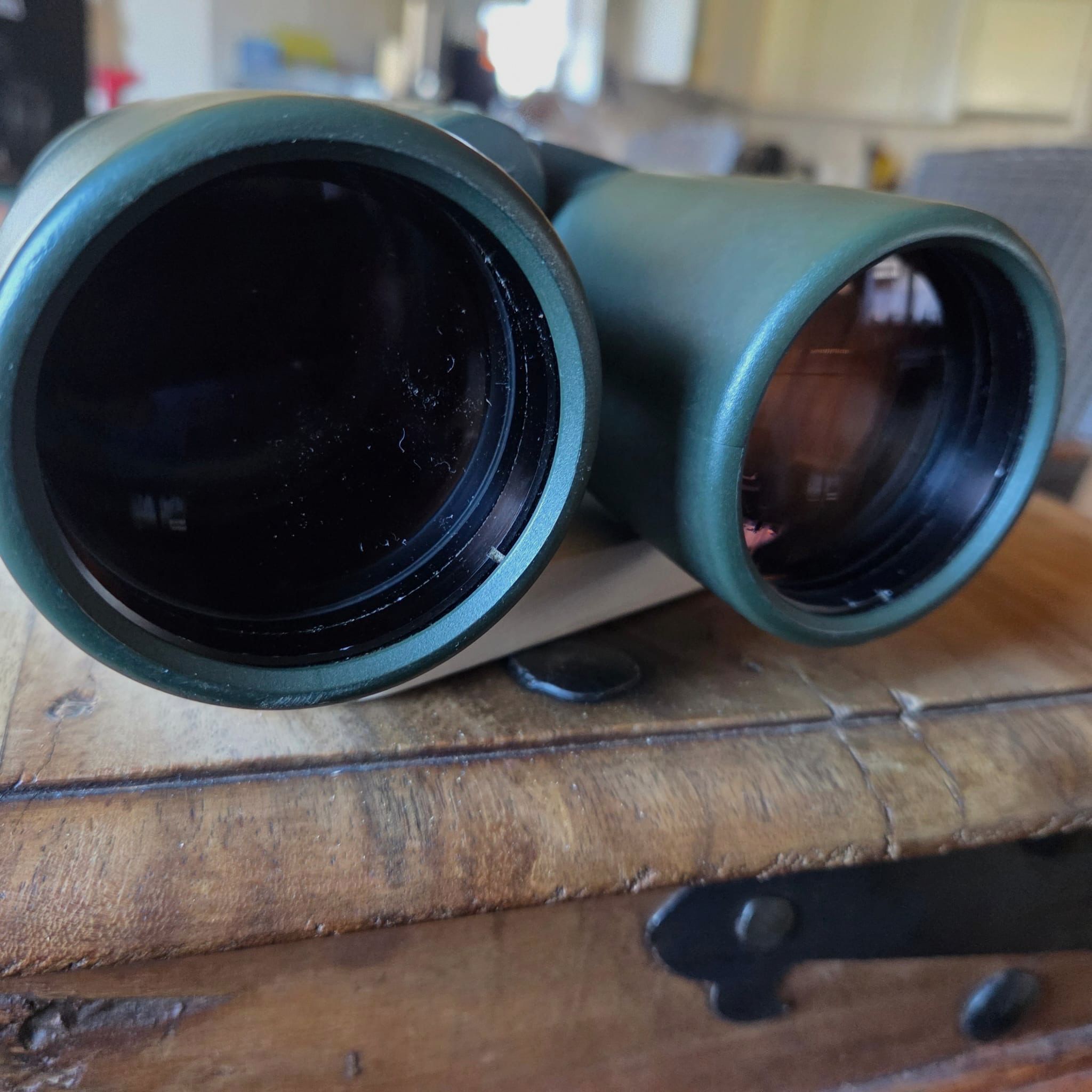 Zeiss jumelles 10x56 BT P