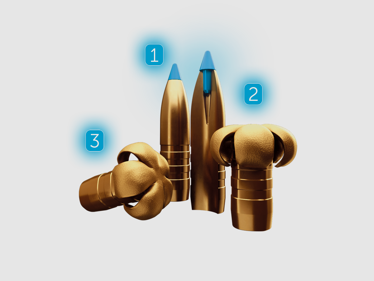 Munition Sellier Bellot TXRG cal.6,5 CREEDMOOR 120gr, image 2 sur 3