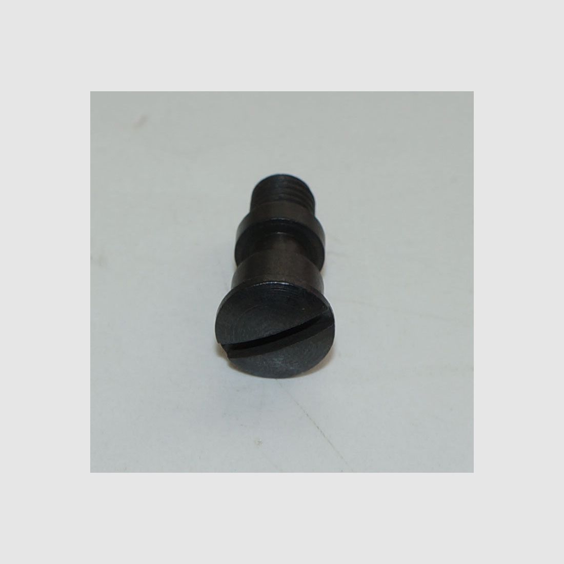 Weapon Factory Bern Used Cover Plate Screw for Swiss Service Revolver 1882