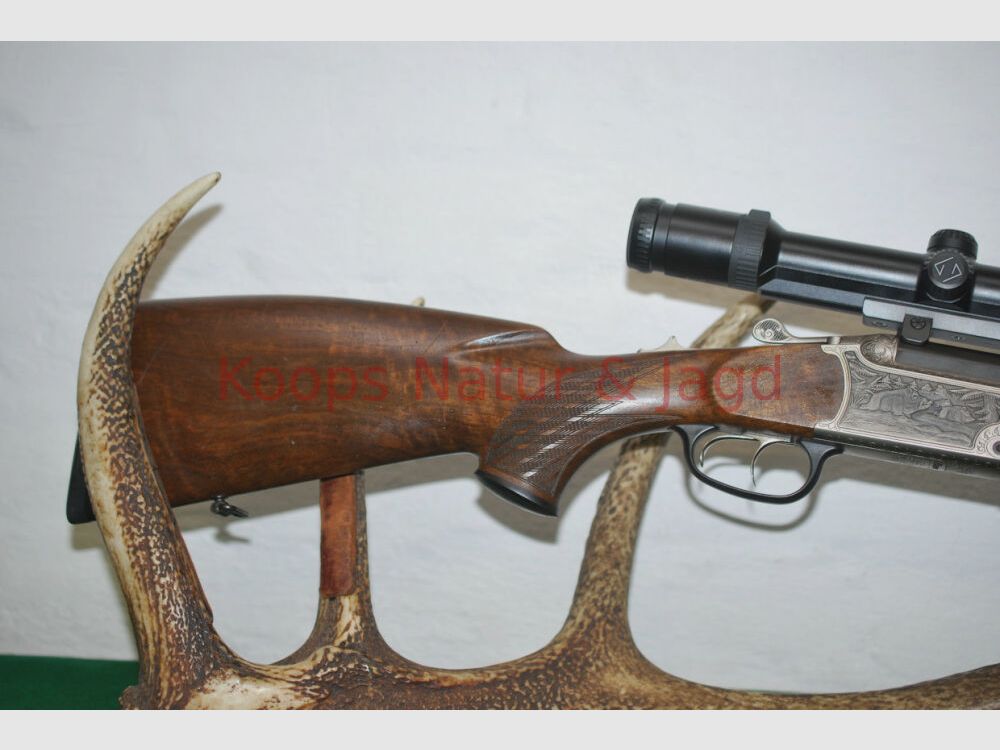 Blaser B95