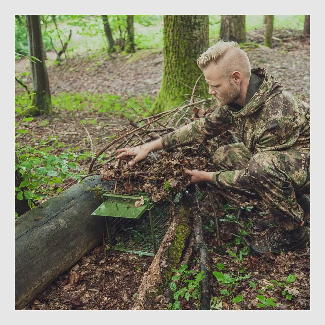 Trampa trampa captura viva - dos puertas abatibles