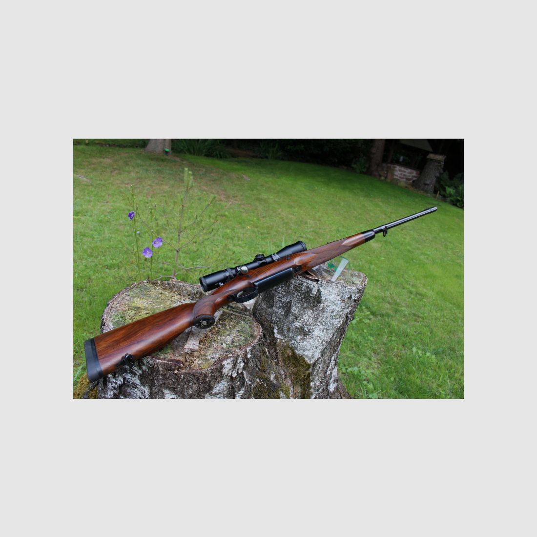 Mauser M98 Magnum in 416 Rigby