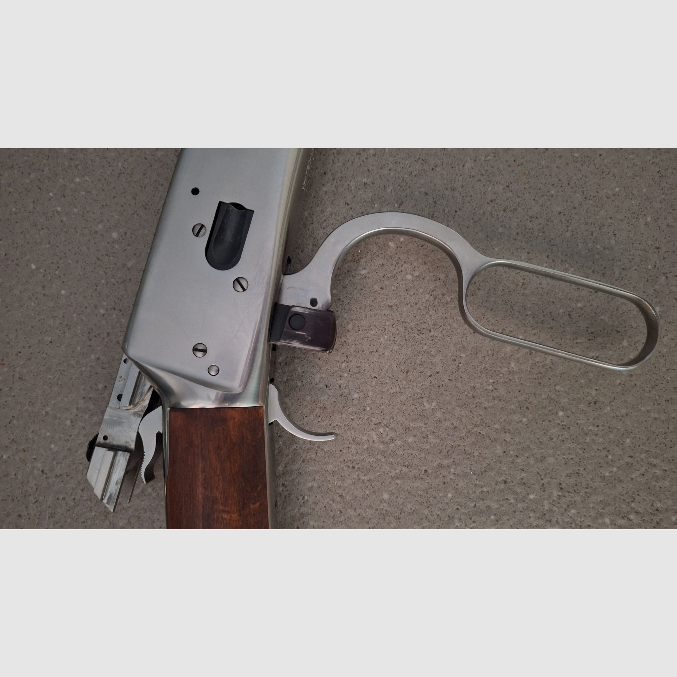 Puma Octagonal, Rossi .44 Magnum 24 inch stainless con Burris Fastfire 3