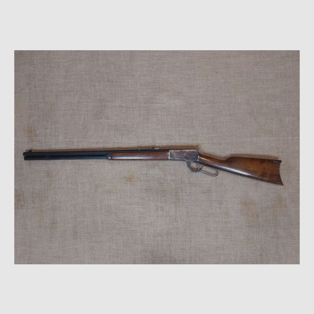 Chiappa M 1892