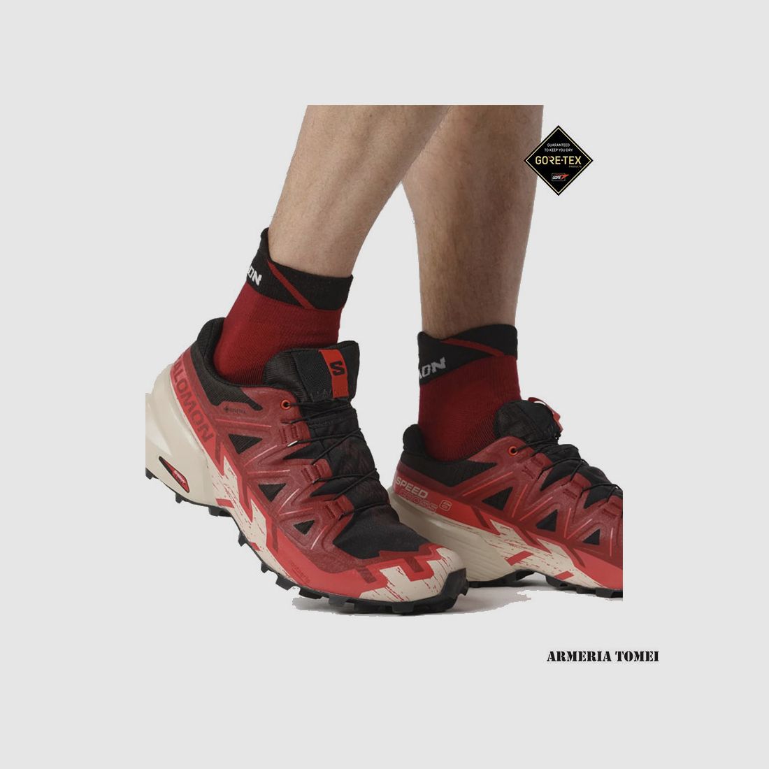 SALOMON – HERREN – SPEEDCROSS 6 GTX Schwarz / Rot Dahlie / Poppy Rot, Bild 5 von 6