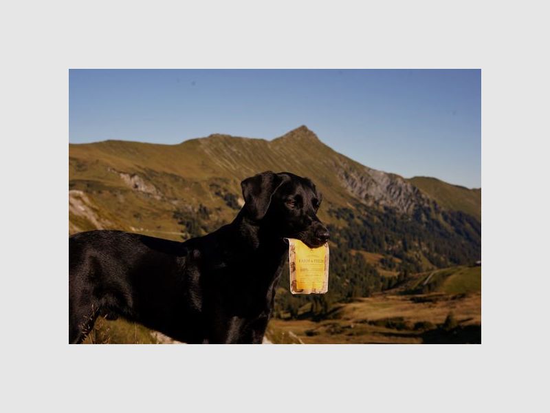 Essential Farm & Fields Tiny Crackers 100 g, image 7 of 10