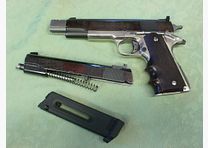 Colt Government