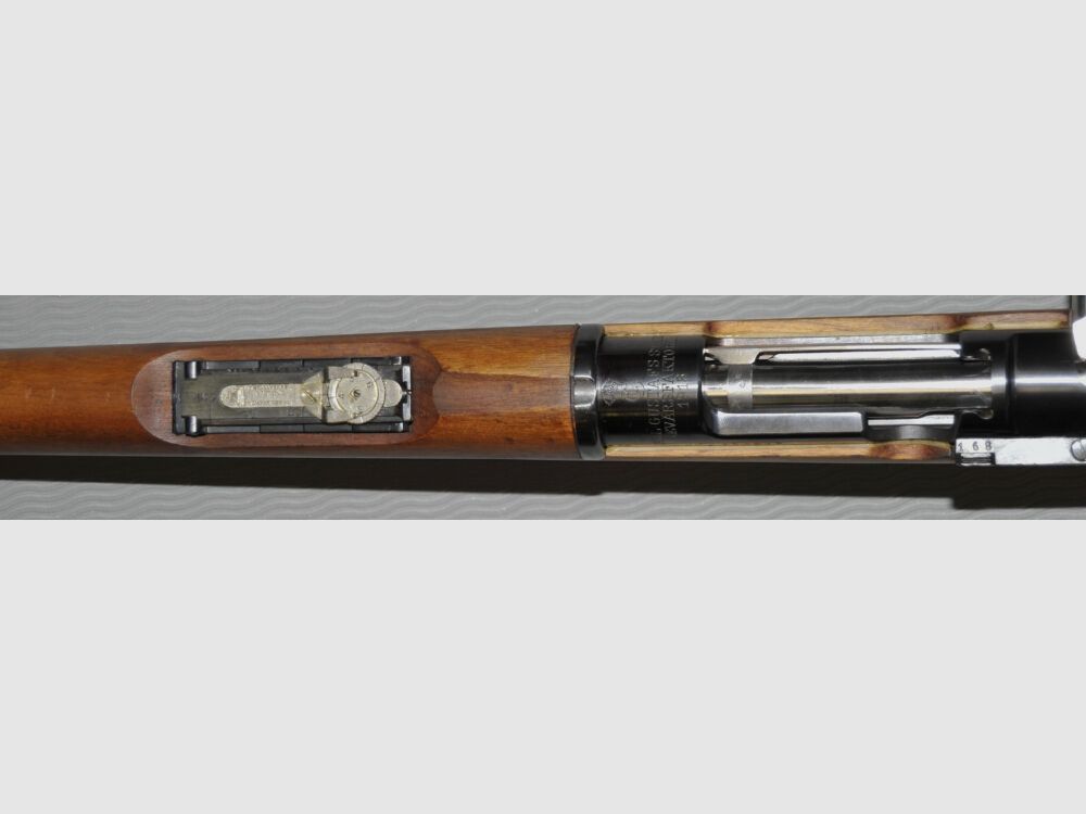 Carl Gustafs M 96