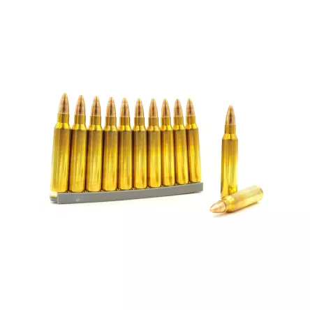 223 Rem SWISS-P DS-1 FMJ 3,6g/55gr, zdjęcie 2 z 2