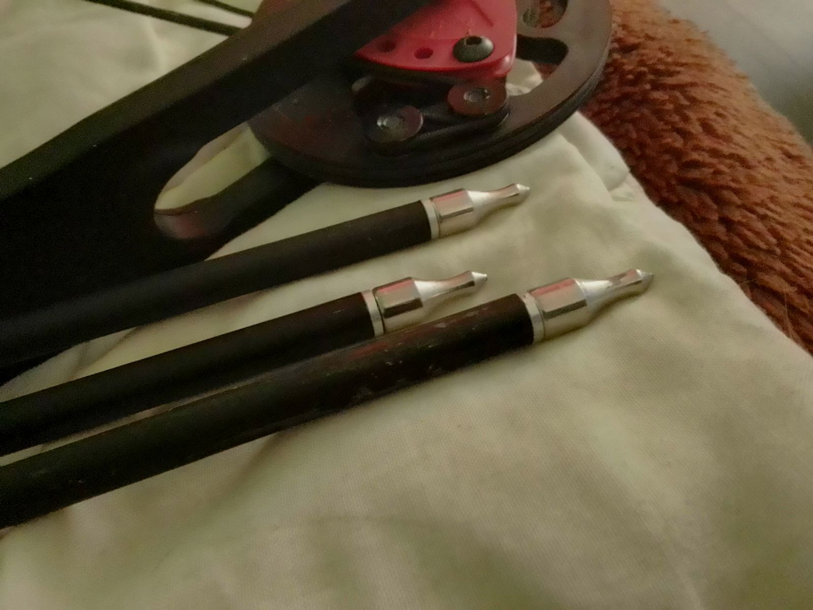 NXG CB ROBIN ESPERTO