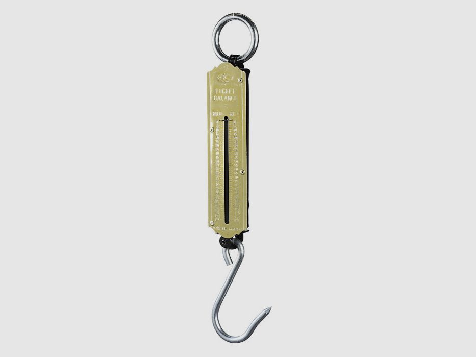 Fritzmann Wildwaage 25 kg