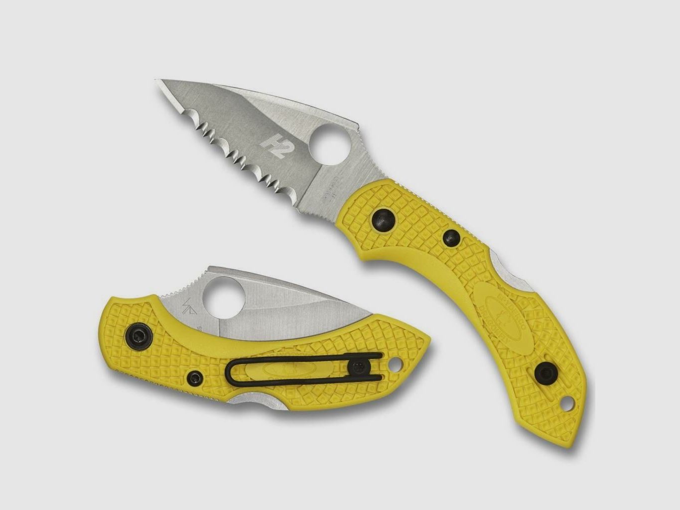Coltello Spyderco Dragonfly 2 SALT Seghettato, immagine 2 di 3