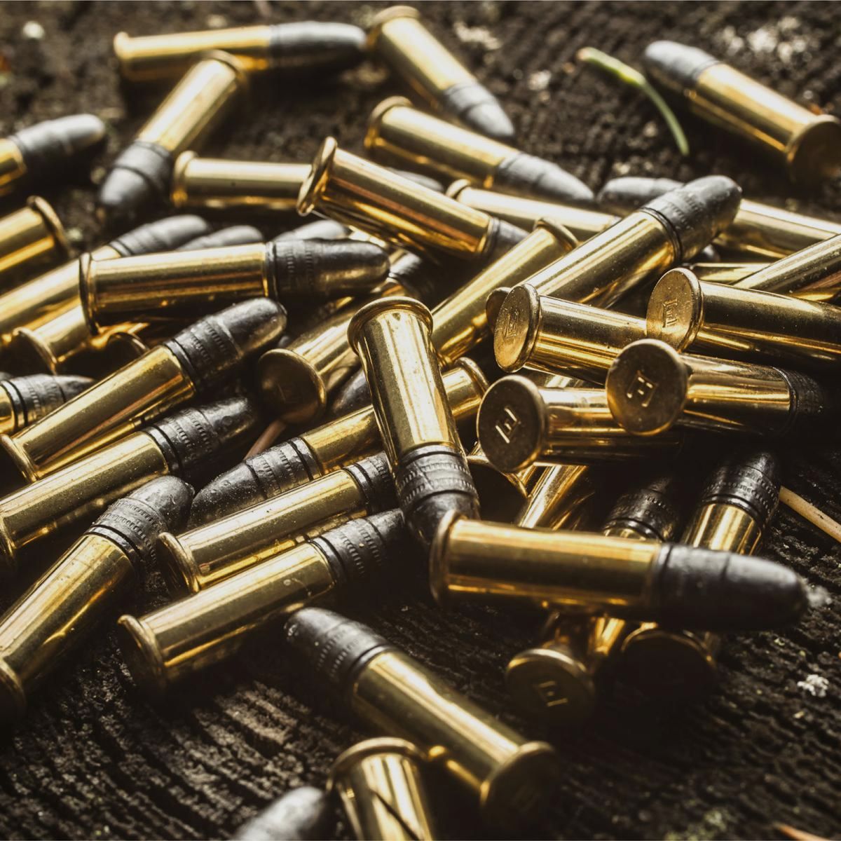 Eley Tenex .22 LR 40GR LFN 50 cartucce