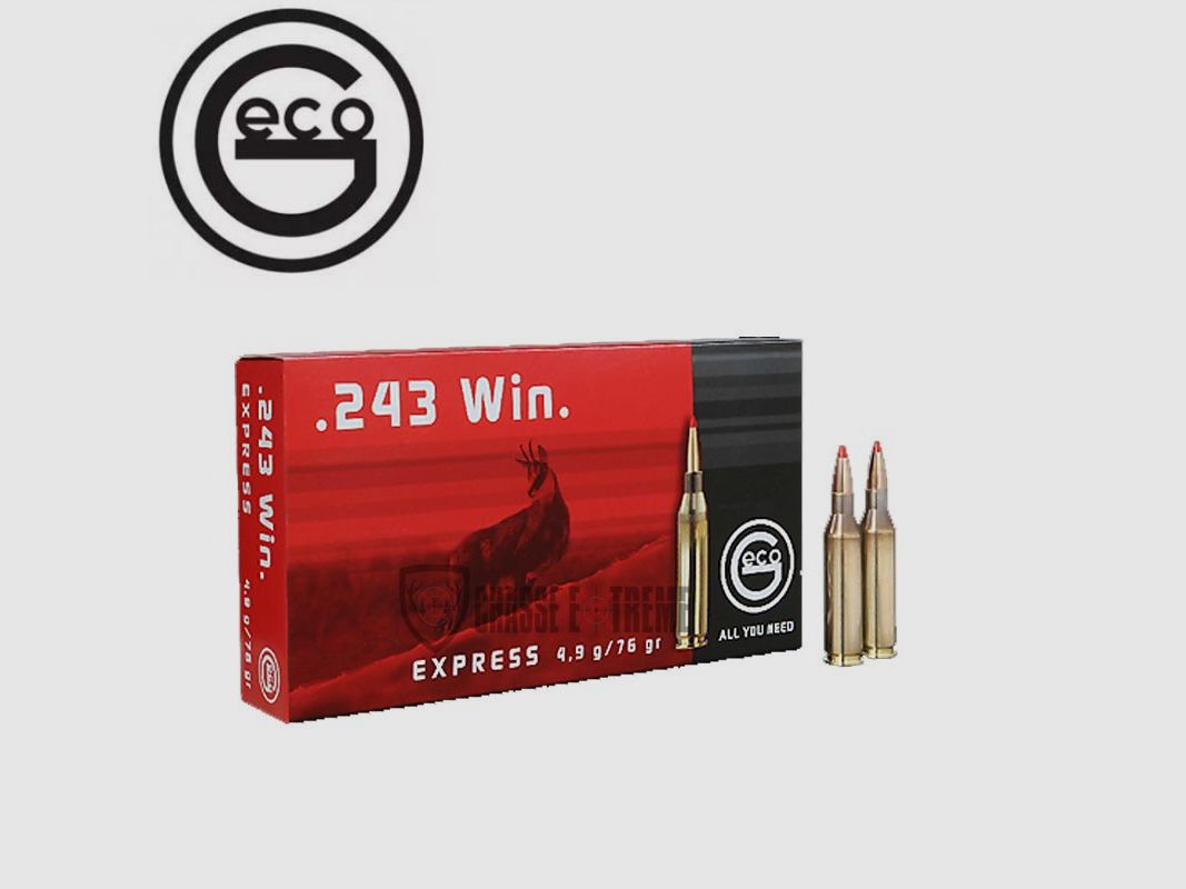 20 nabojów GECO kal 243 Win 76gr EXPRESS