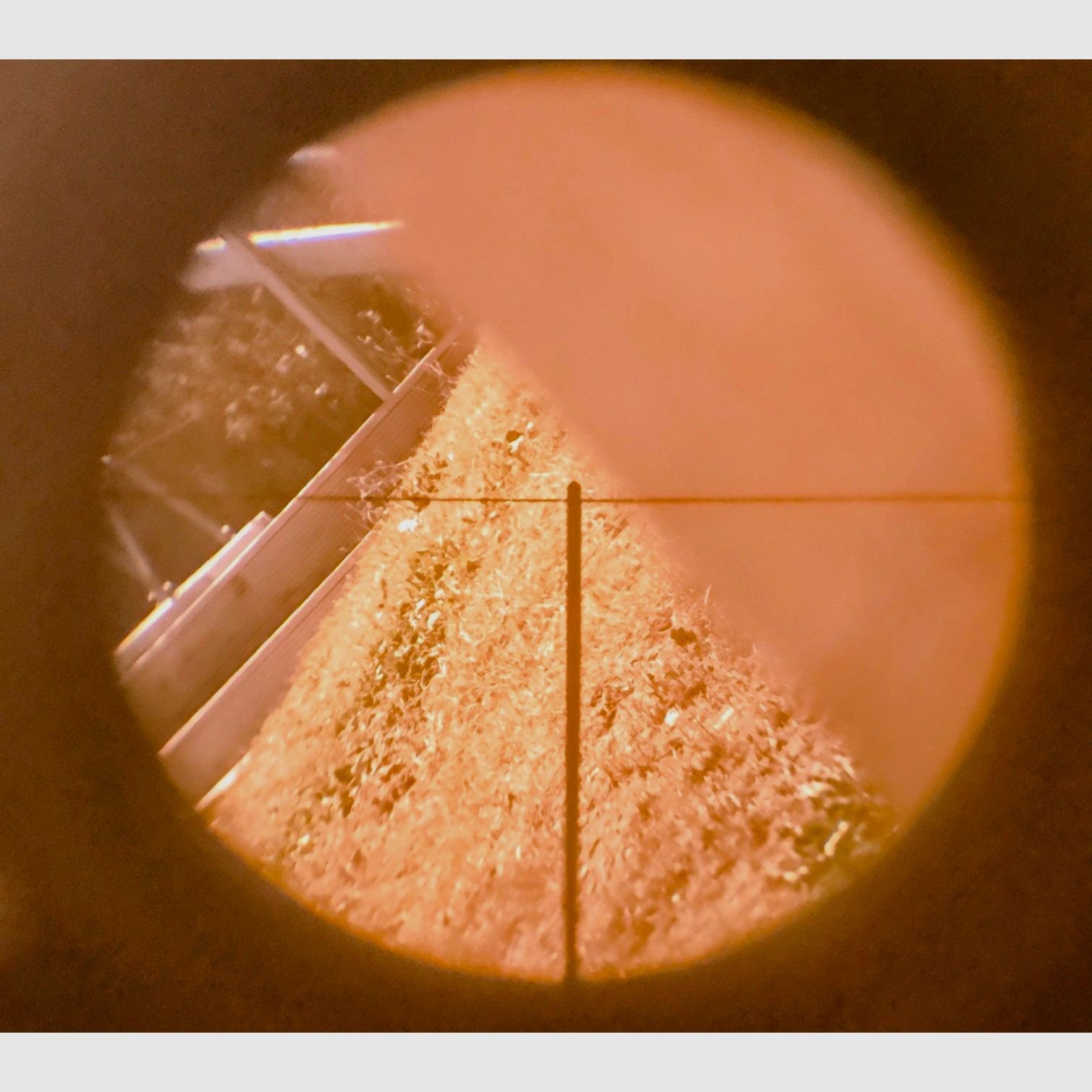 Telescope, Sighting No. 32 Mk I – brytyjski wojskowy scope