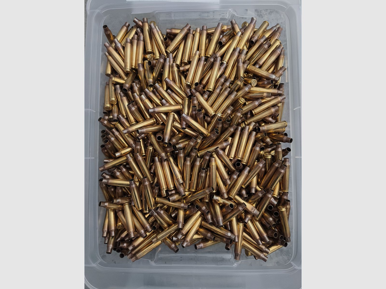Cartuchos - Latón - 9mm Luger, .223 Rem - pulido, disparado una vez