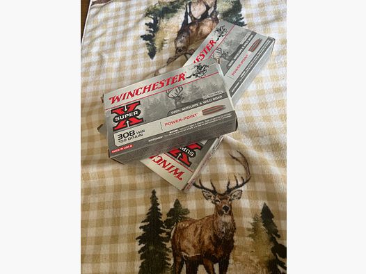 308 Winchester Power Point 150 grano