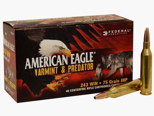 Federal American Eagle Varmint & Predator .243 Win. 75GR JHP 40 cartucce