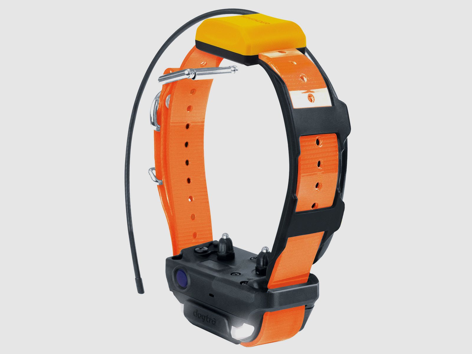 DOGTRA Pathfinder 2 additional collar
