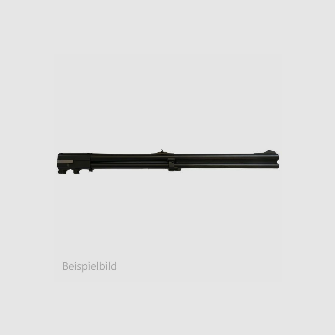 Blaser WL B95