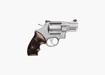 Rewolwer Smith & Wesson 629 .44 Rem. Mag. Srebrny