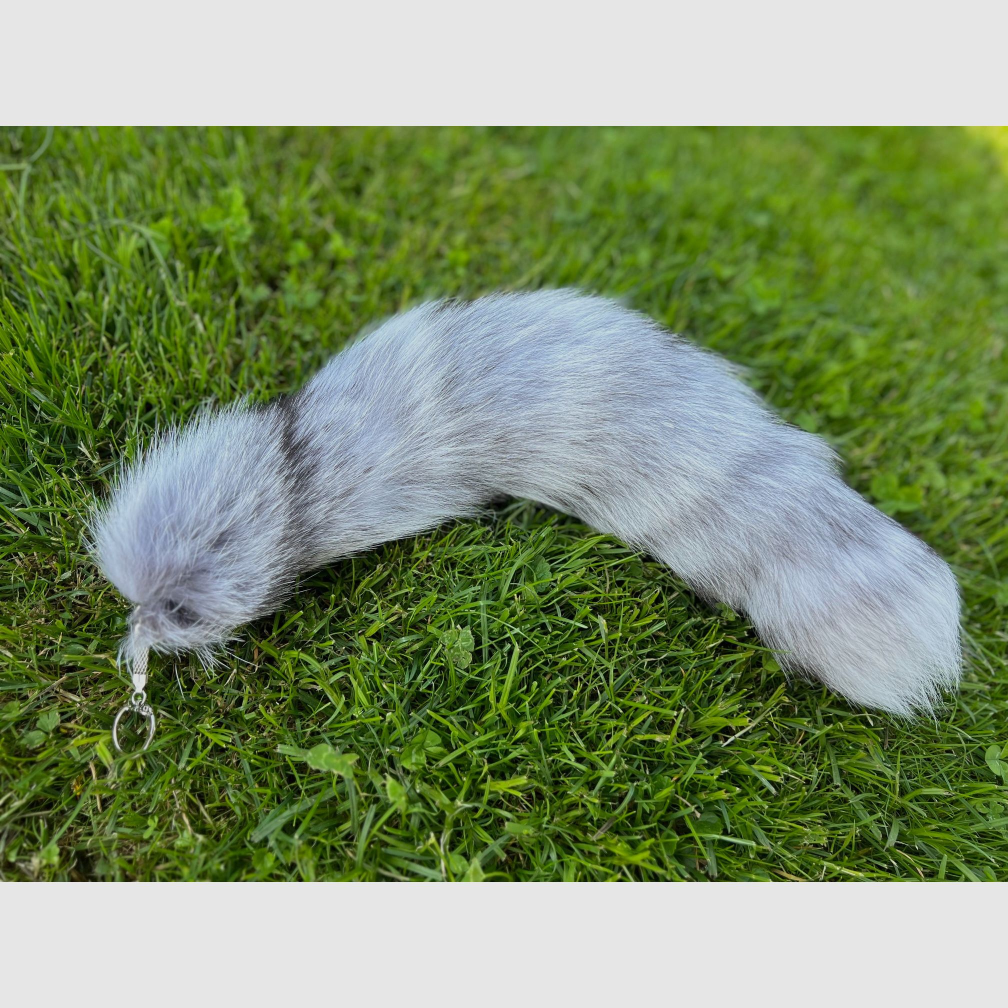 Real polar fox tail with keychain, image 2 of 3