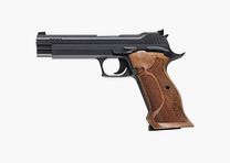 Sig Sauer P210 Target