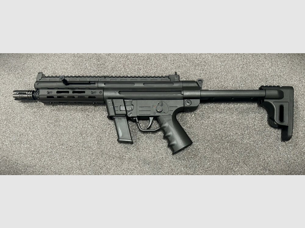 GSG	 GSG-9