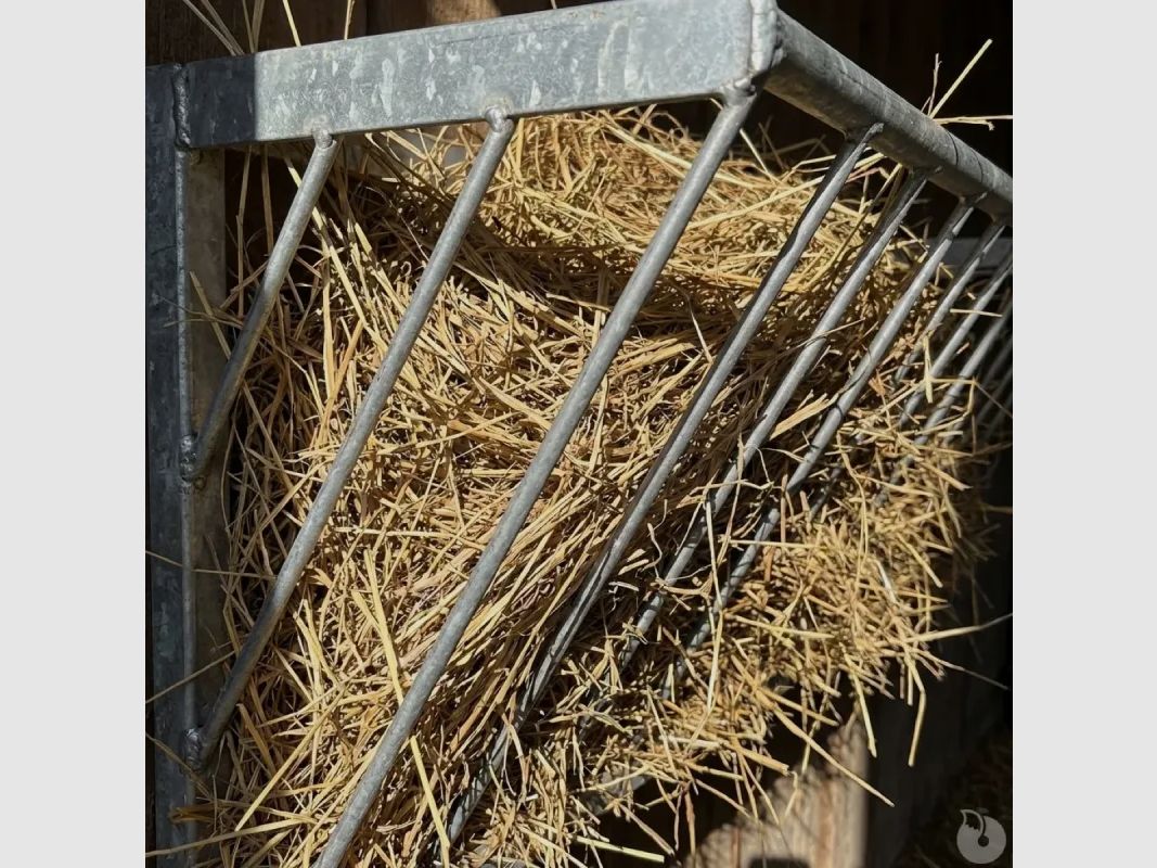 Comedero para terneros de metal galvanizado montaje en pared, imagen 4 de 10