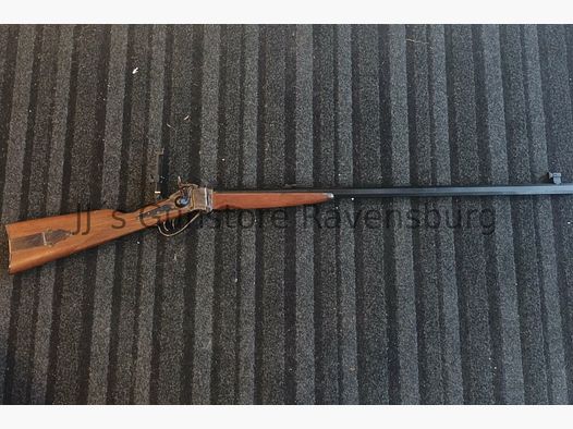 Armi Sport Sharps .45-70Gov