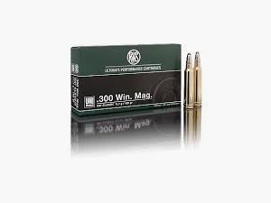 Balas RWS UNI CLASSIC 30-06 180 gr