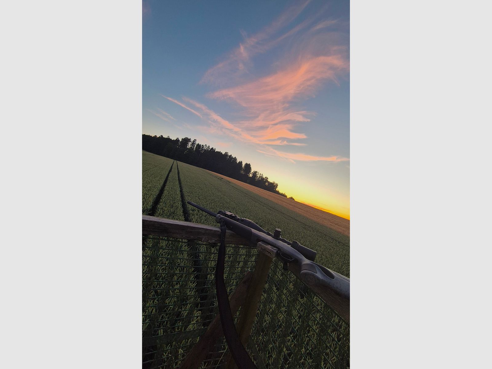 Bergara B14 Wilderness .308 Win | Meopta Optika6 3–18×56 RD | Liemke Luchs 25.1 | Complete set